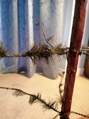 How could I restore this Christmas tree to some kind of glory?