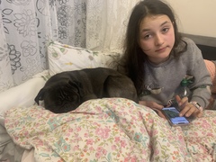 New foster