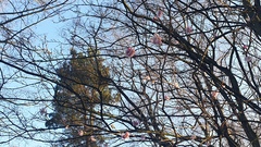 Nature Notes: the 2022 edition