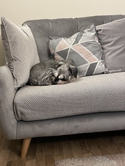 French Connection Camden Sofa from DFS