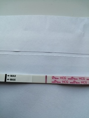 Easy@home rubbish 10dpo evaps