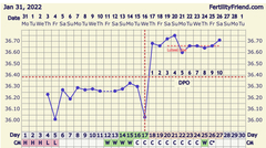 Ovulation?