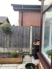 Help me finish this planting- with photos😊