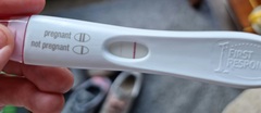Are these positive?