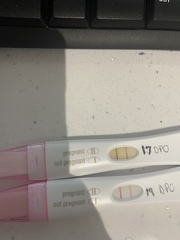 🌈Ttc after miscarriage thread 5 💕✨🤞🌈