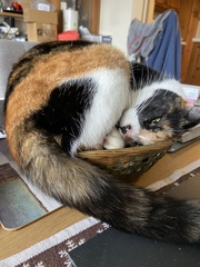Can we have a 'that can't be comfortable' thread? I need cheering up!