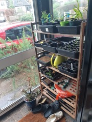 Indoor seed growing kit