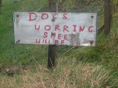 2022: Run, walk, cycle, swim, etc 1000 km/miles or whatever!