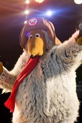 What did we see last night..?