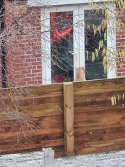 Neighbours' Dog