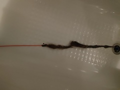 Shower hair degunger