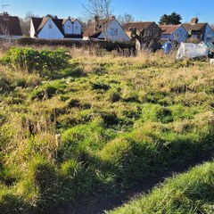 I've been offered an allotment!