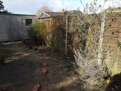 Garden planning 2022
