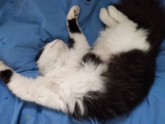 Can we have a 'that can't be comfortable' thread? I need cheering up!