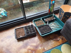 Indoor seed growing kit