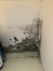 Landlord seems to think this isn’t a priority