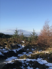 Running thread 18 - roll on spring!