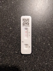 How quickly did your lateral flow lines get darker?