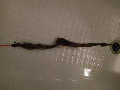 Shower hair degunger