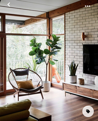 “Mid century modern” furniture-anyone else suddenly appreciate it?