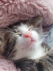 Can we have a 'that can't be comfortable' thread? I need cheering up!