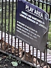 Can I use the playground of a council estate if we don't live there?