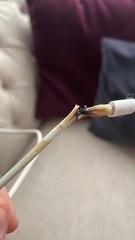 Organising our homes, 1 day at a time!