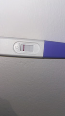Wilkinson’s positive pregnancy test