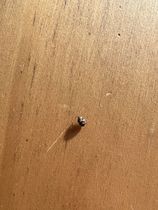 Anyone know what this is? Pics included