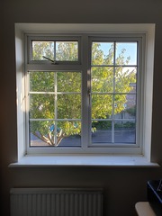 Windows, help!