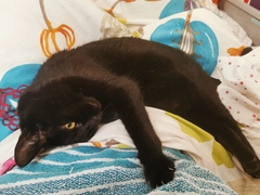 Can we have a 'that can't be comfortable' thread? I need cheering up!