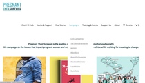 Mumsnet Webchat about women/mums in politics with Stella Creasy and Caroline Nokes - 1st February
