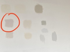 Dulux Dusted Fondant - recommendations for similar?