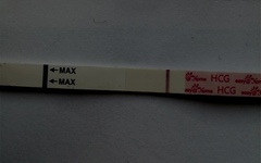 Easy@home rubbish 10dpo evaps