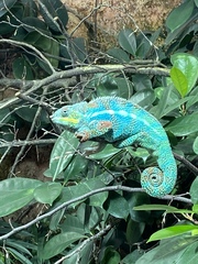 Frugal fun in February - the one with the Spring spring