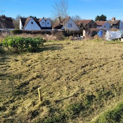 I've been offered an allotment!