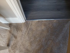 To hate my lounge carpet? Honest opinions on my lounge carpet that was laid yesterday