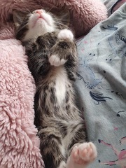 Can we have a 'that can't be comfortable' thread? I need cheering up!