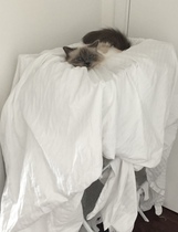 Can we have a 'that can't be comfortable' thread? I need cheering up!