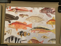 Anyone fancy a new jigsaw thread?