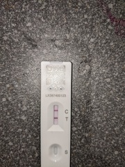 How quickly did your lateral flow lines get darker?