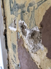 What should I do with this problem?