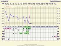 TTC first time - help with OPK, BBT and CM please?