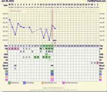 Anyone else 1/2 DPO?