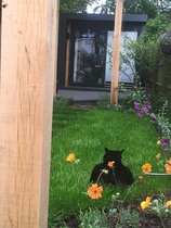 To ask you to show me your gorgeous fancy houses?