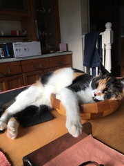 Can we have a 'that can't be comfortable' thread? I need cheering up!