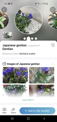 Is there a plant identification app that actually works?