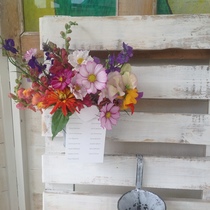 Grow your own wedding flowers?