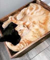 Can we have a 'that can't be comfortable' thread? I need cheering up!