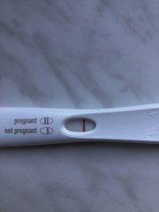 First timers, TTC. Safe space for brain dumps...